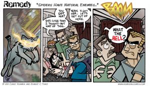 Spiders Have Natural Enemies